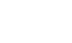 dicolor-logo